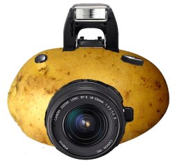 hdpotato